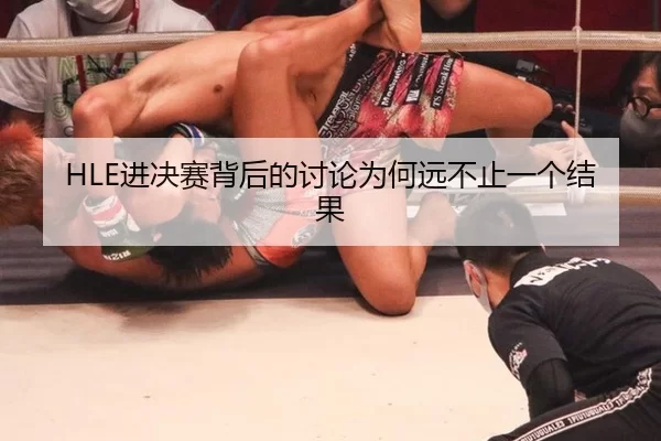 HLE进决赛背后的讨论为何远不止一个结果